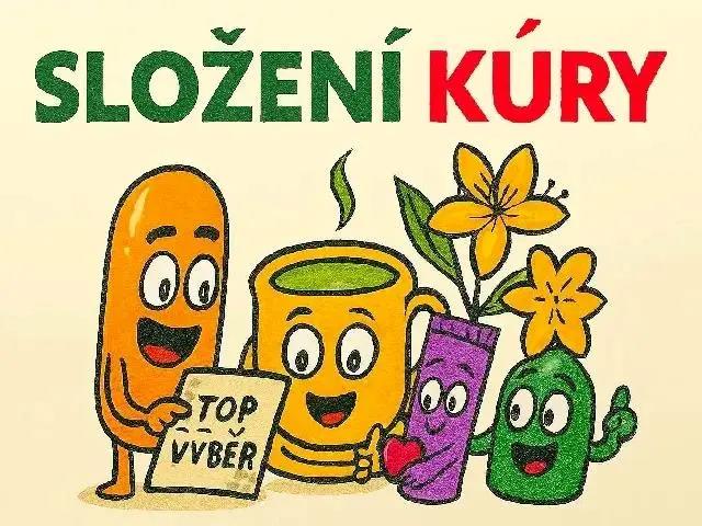Složení kúry